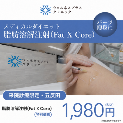 【Wellness Plus Clinic】来院診療｜脂肪溶解注射 FatX Core 1cc