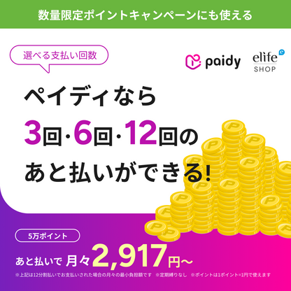あと払い（ペイディ）決済可能 大好評『ポイント最大30%OFF』