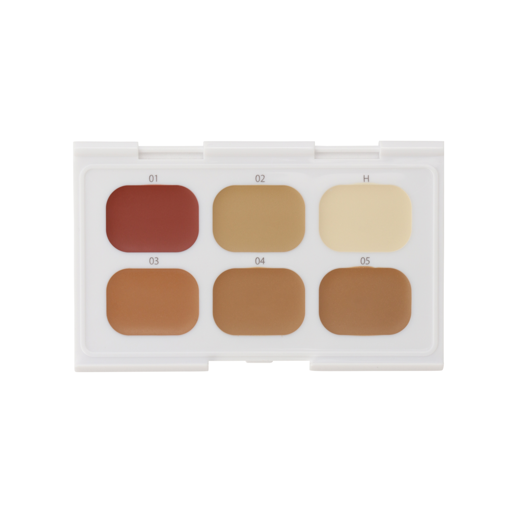 DT Camouflage Concealer