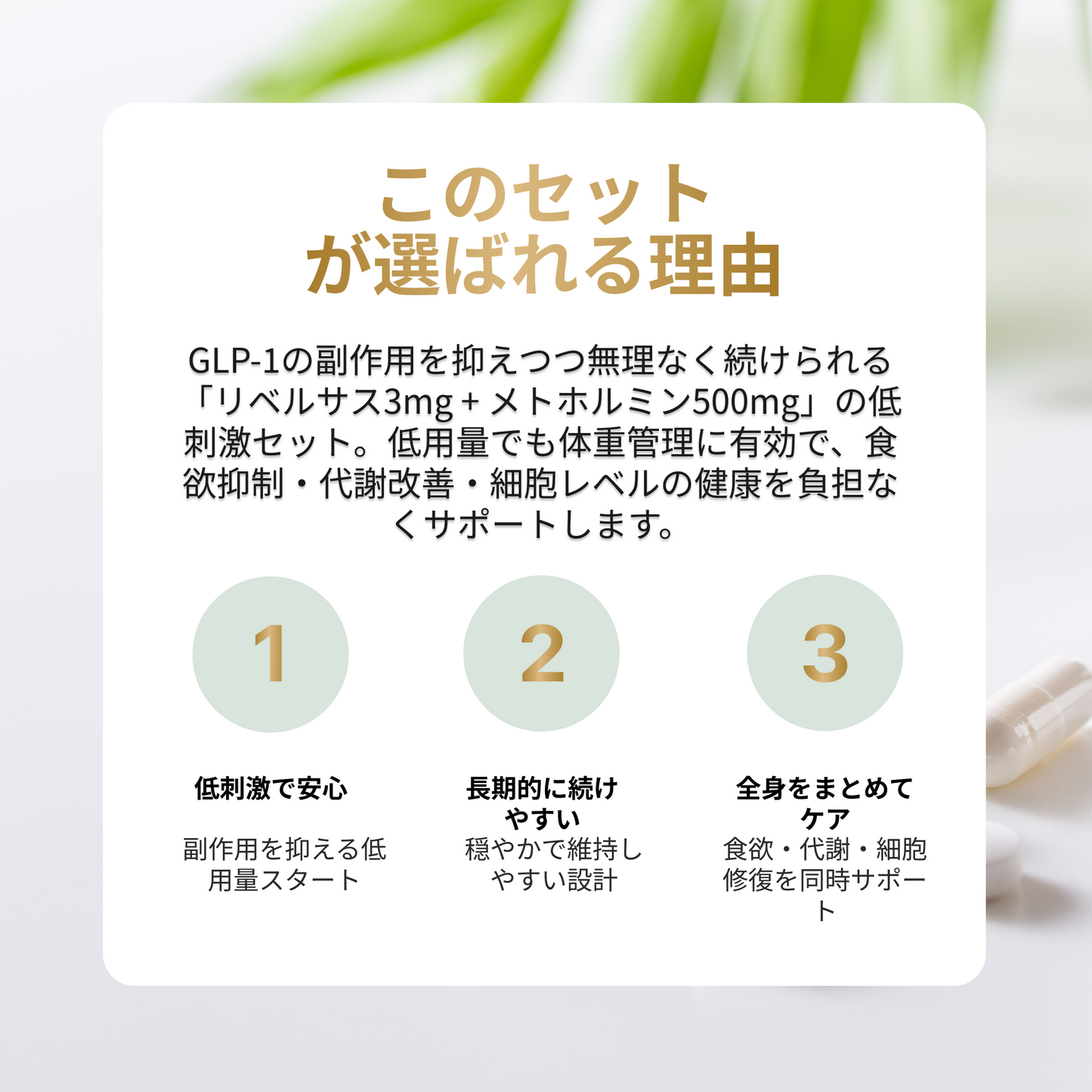 アンチエイジングセット 飲むGLP-1錠剤 リベルサス 3mg + メトホルミン 500mg
