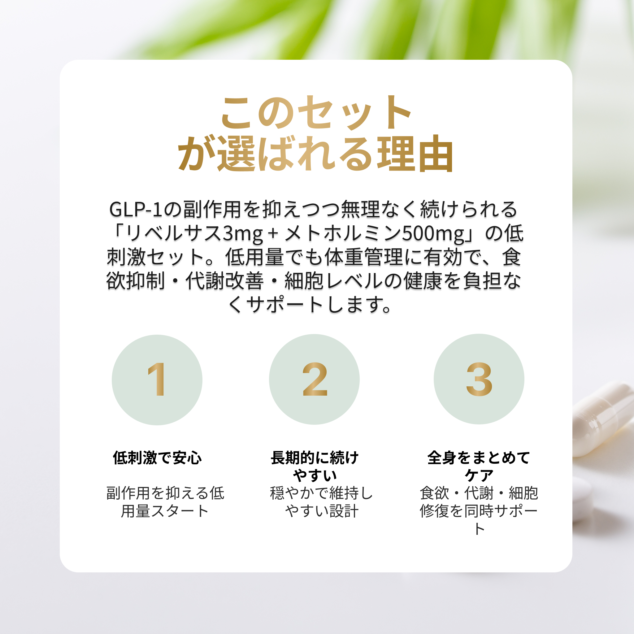 【eクーポン】アンチエイジングセット 飲むGLP-1錠剤 リベルサス 3mg + メトホルミン 500mg